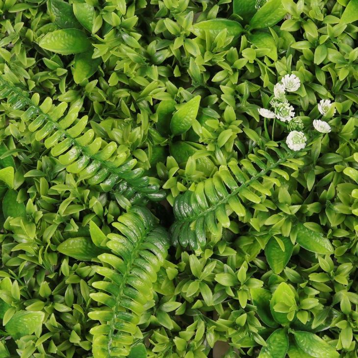 Boxwood Wall Grass Panel Plant Green Wall