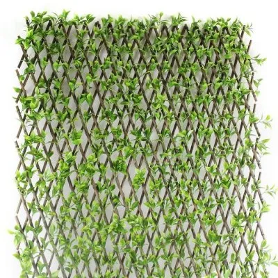 Atifisyèl Ivy fèy lizyè ekran