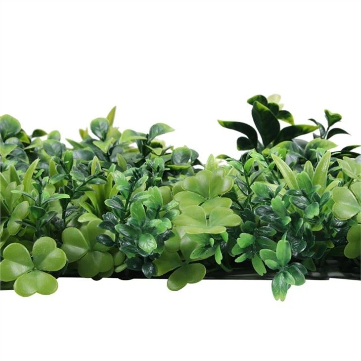 Lucky Leaf With Jasmine Flowers