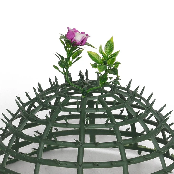 Boxwood Ball Topiary